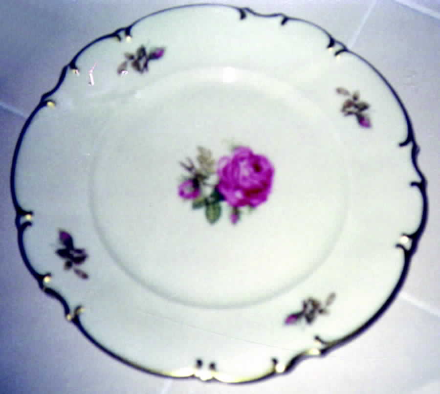 HUT100 Dinner Plate by Hutschenreuther-1