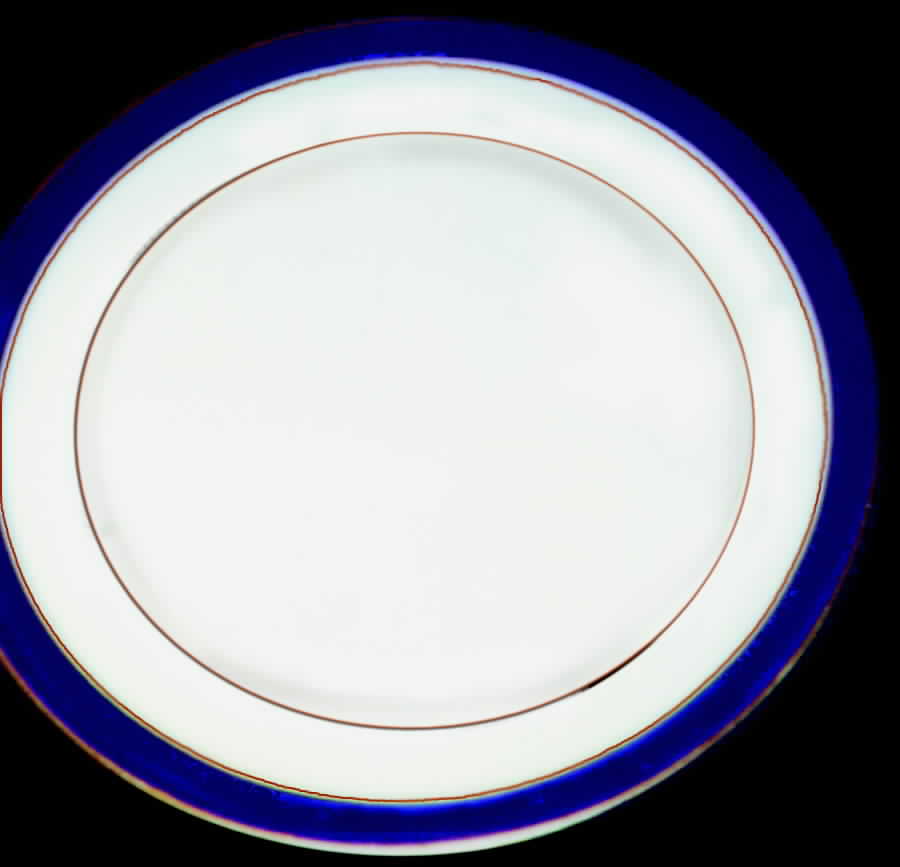 HUT103 Dinner Plate by Hutschenreuther-1