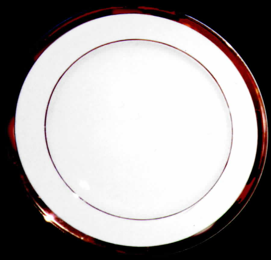 HUT106 Dinner Plate by Hutschenreuther-1