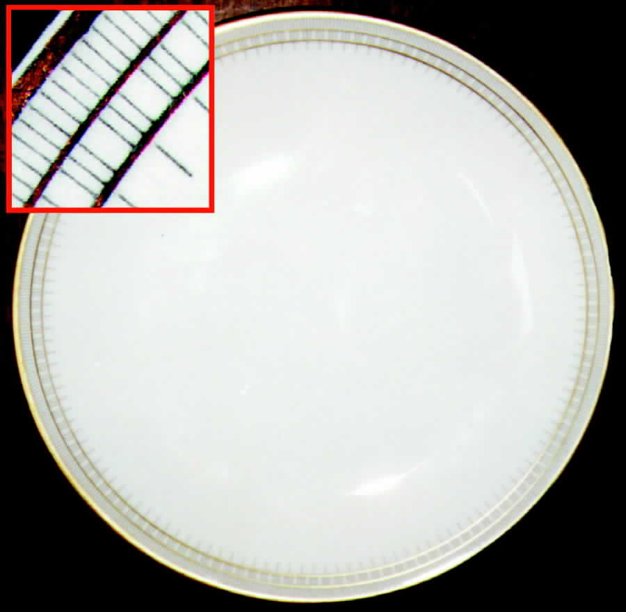 HUT129 Dinner Plate by Hutschenreuther-1