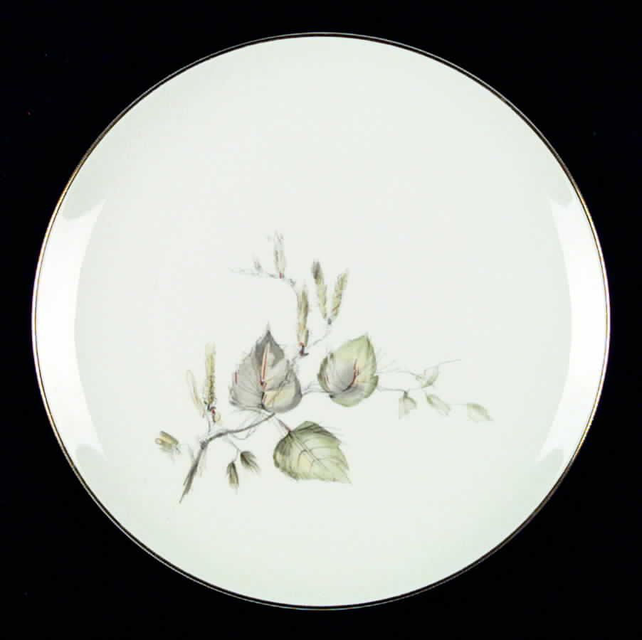 30889-1 Dinner Plate by Hutschenreuther-1