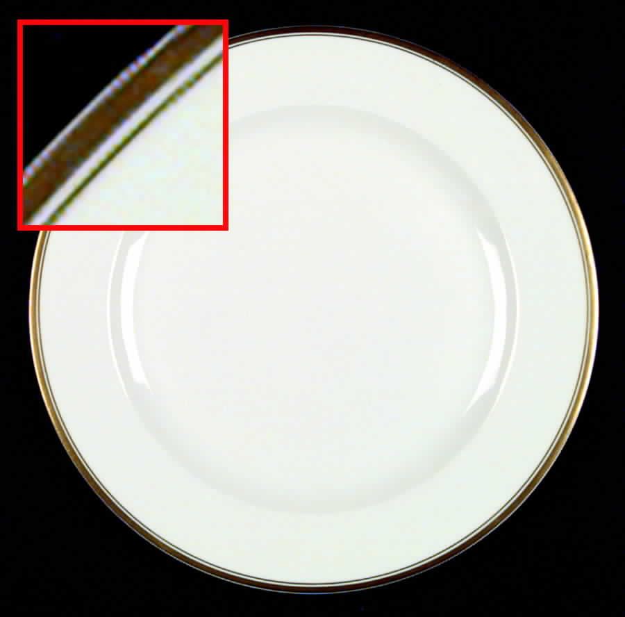 HUT149 Dinner Plate by Hutschenreuther-1