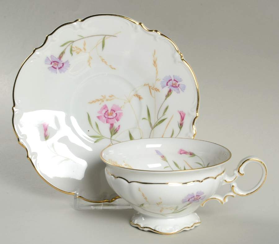 8941 Footed Cup & Saucer Set by Hutschenreuther-1