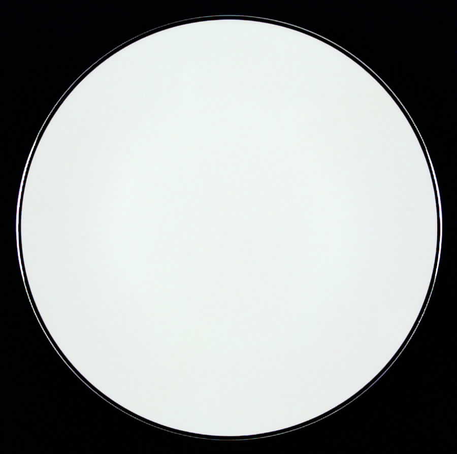 HUT171 Dinner Plate by Hutschenreuther-1