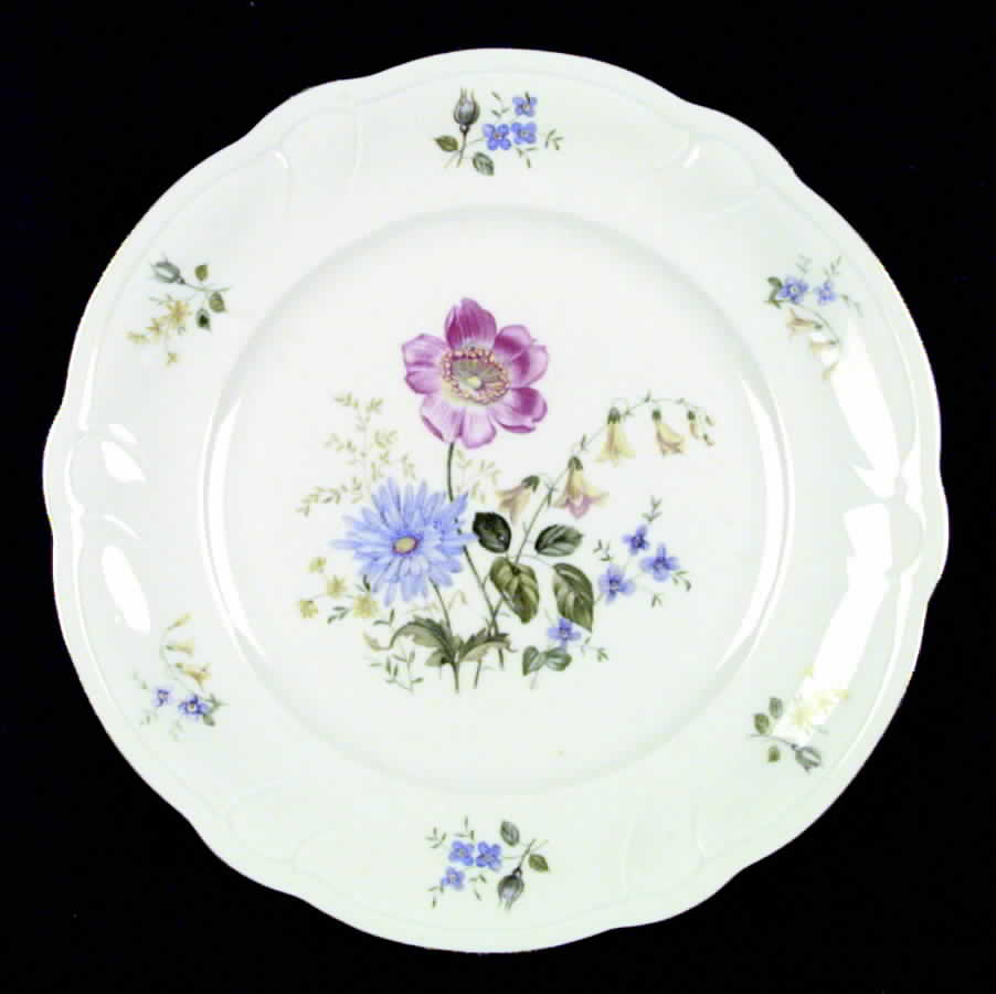 HUT177 Dinner Plate by Hutschenreuther-1