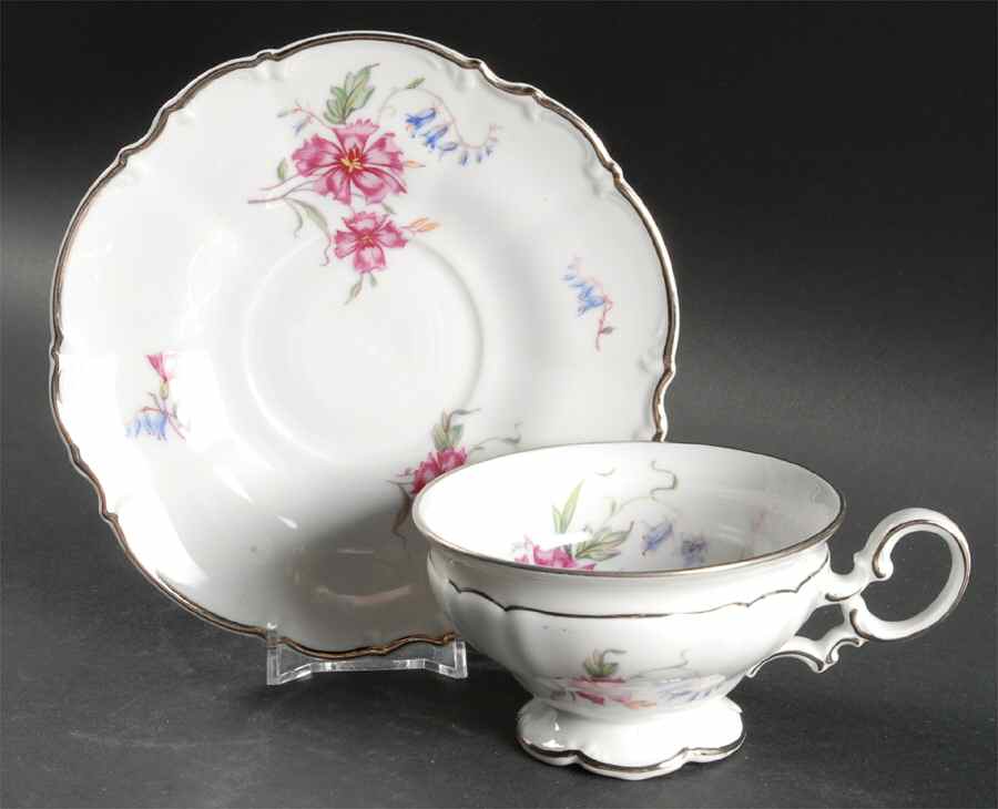 HUT18 Footed Cup & Saucer Set by Hutschenreuther-1