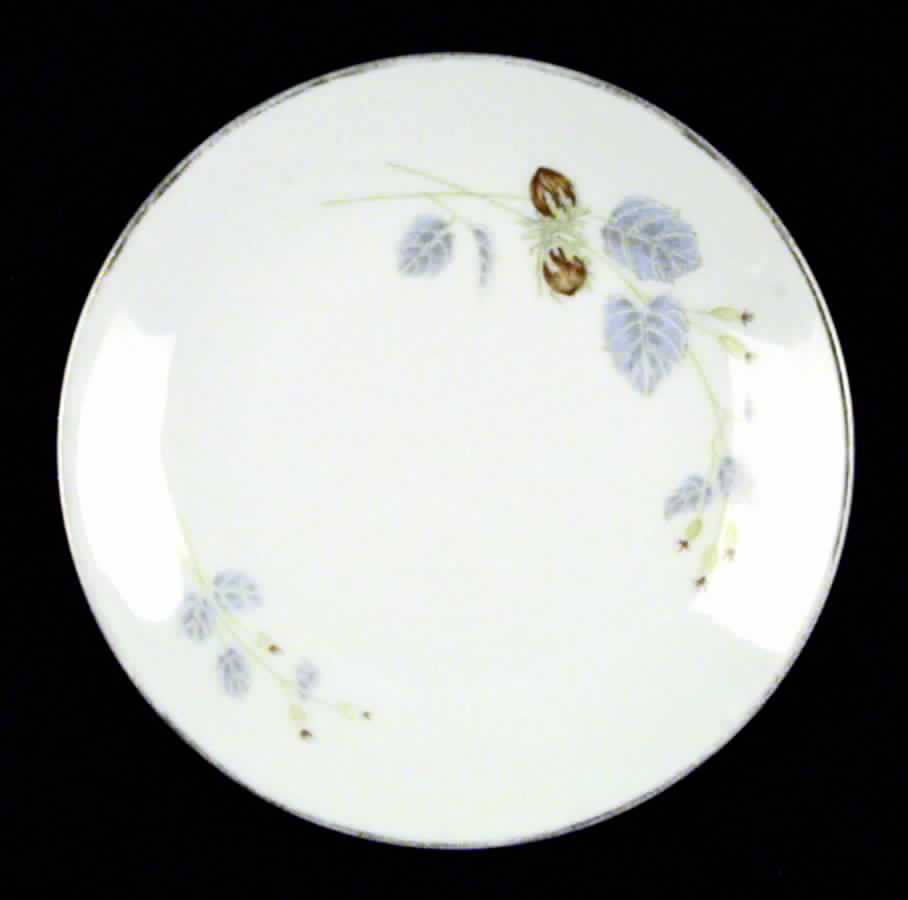 HUT180 Bread & Butter Plate by Hutschenreuther-1