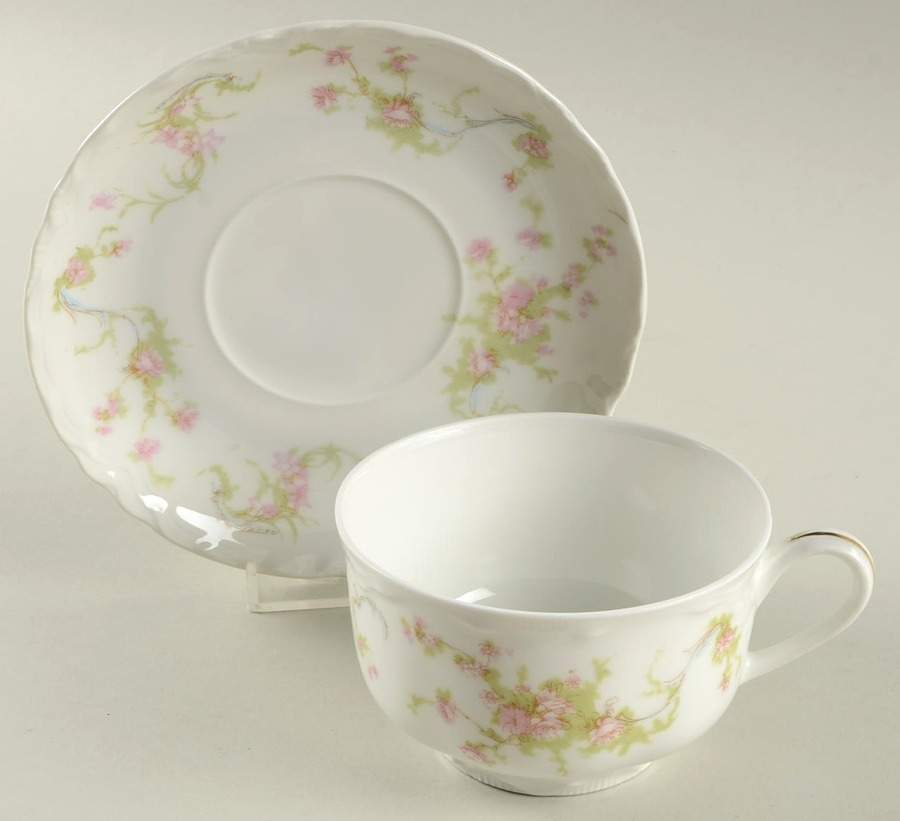 HUT23 Flat Cup & Saucer Set by Hutschenreuther-1
