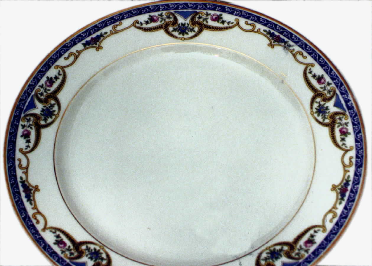 HUT253 Dinner Plate by Hutschenreuther-1