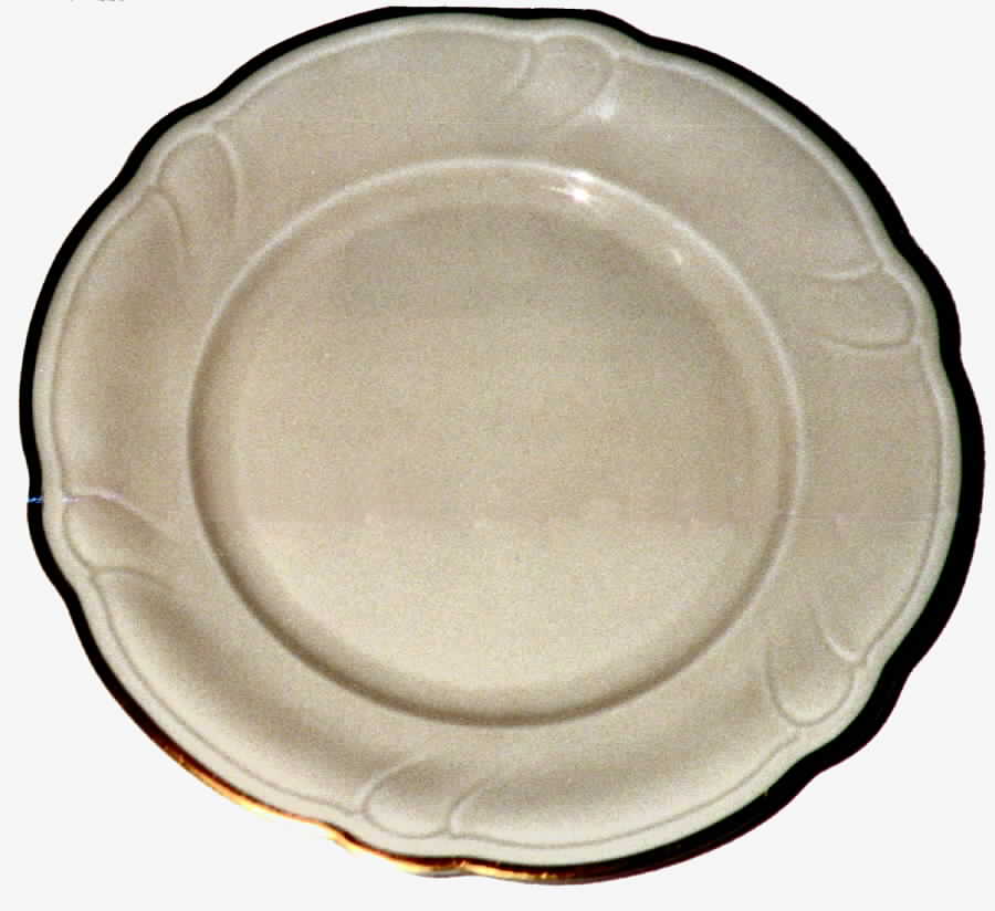 HUT283 Dinner Plate by Hutschenreuther-1