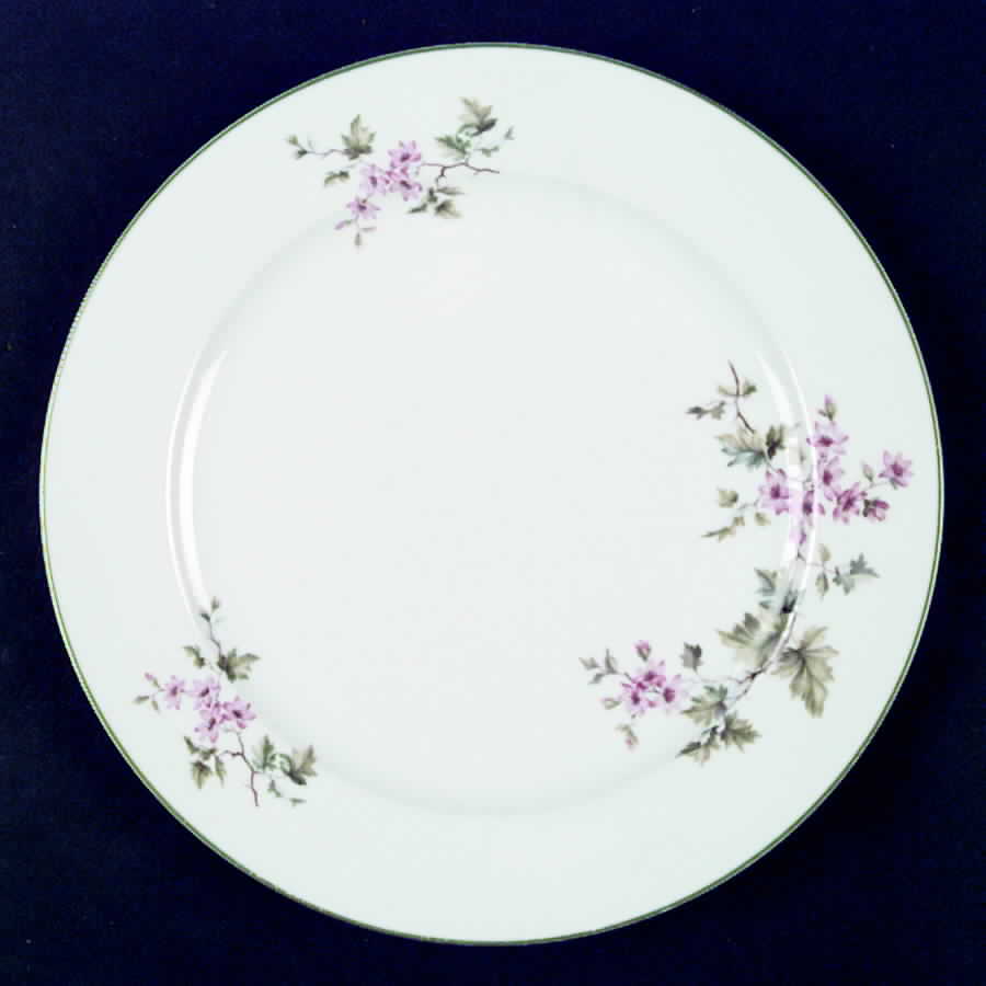 HUT2 (Green Trim) Dinner Plate by Hutschenreuther-1