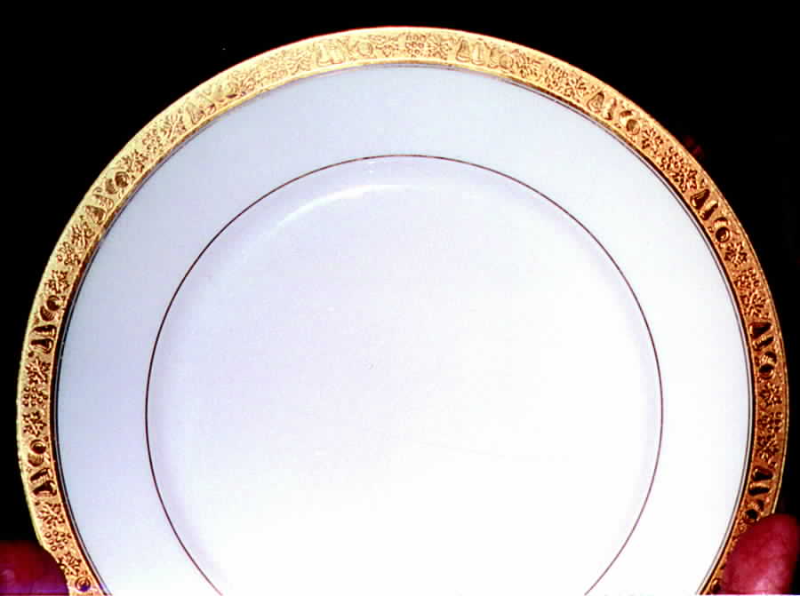 HUT307 Dinner Plate by Hutschenreuther-1