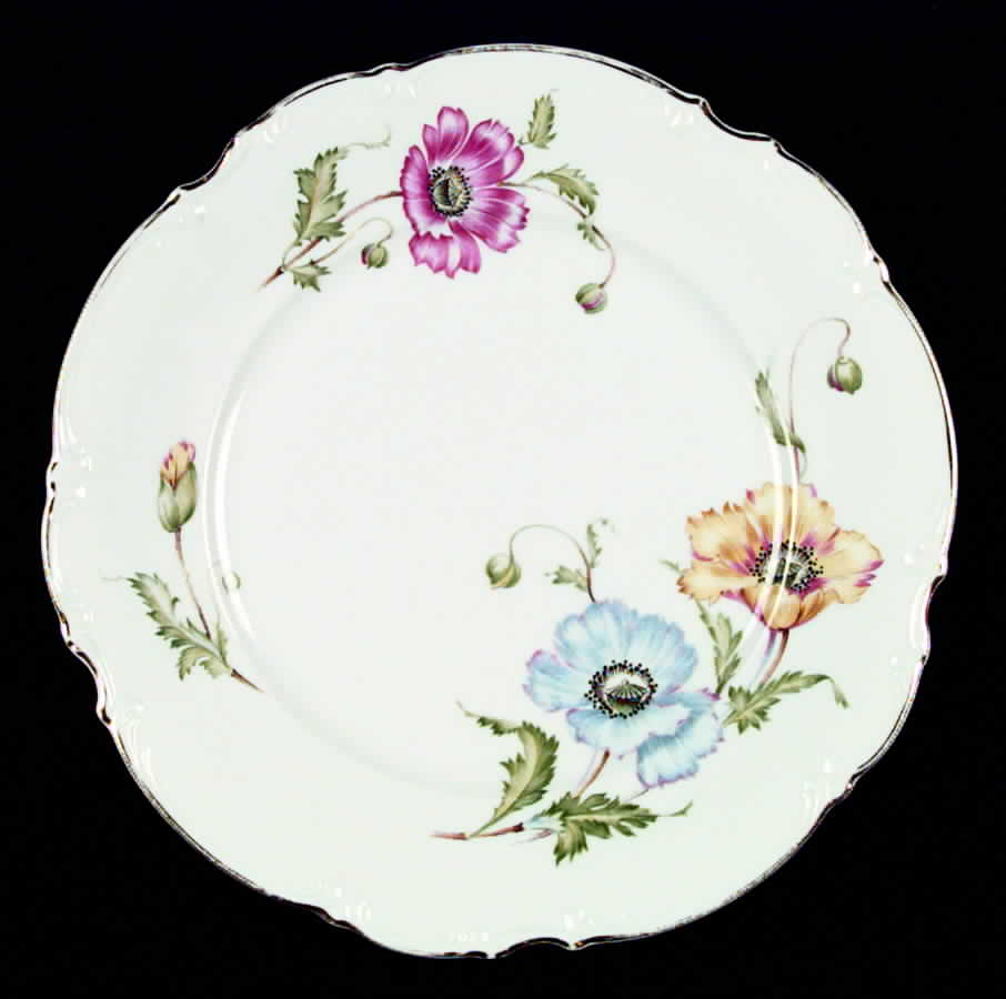9041 Dinner Plate by Hutschenreuther-1