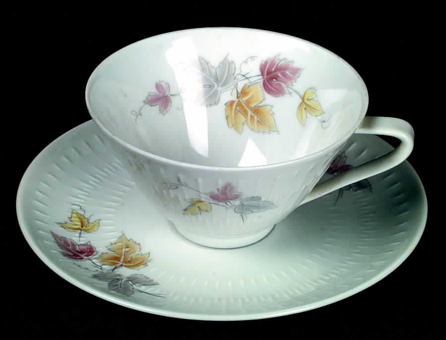 HUT33 Flat Cup & Saucer Set by Hutschenreuther-1