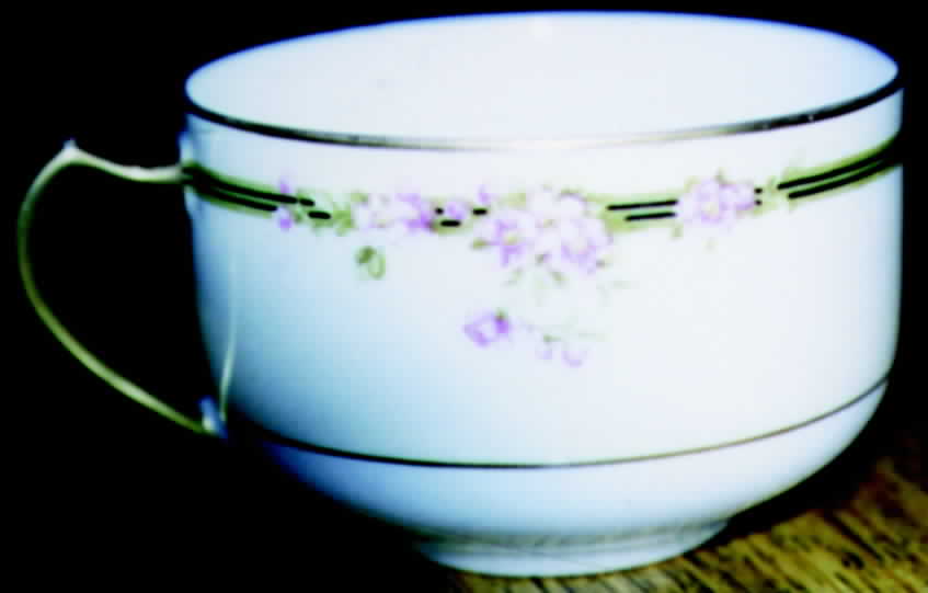 HUT336 Flat Cup by Hutschenreuther-1