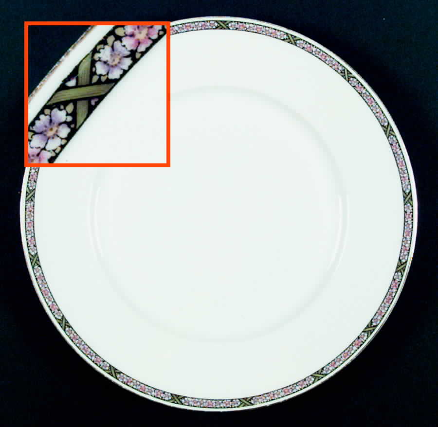 HUT339 Dinner Plate by Hutschenreuther-1