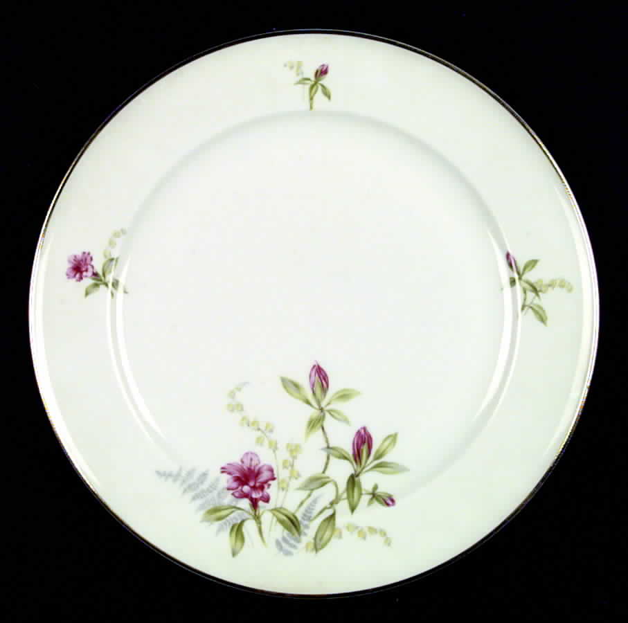 HUT366 Dinner Plate by Hutschenreuther-1