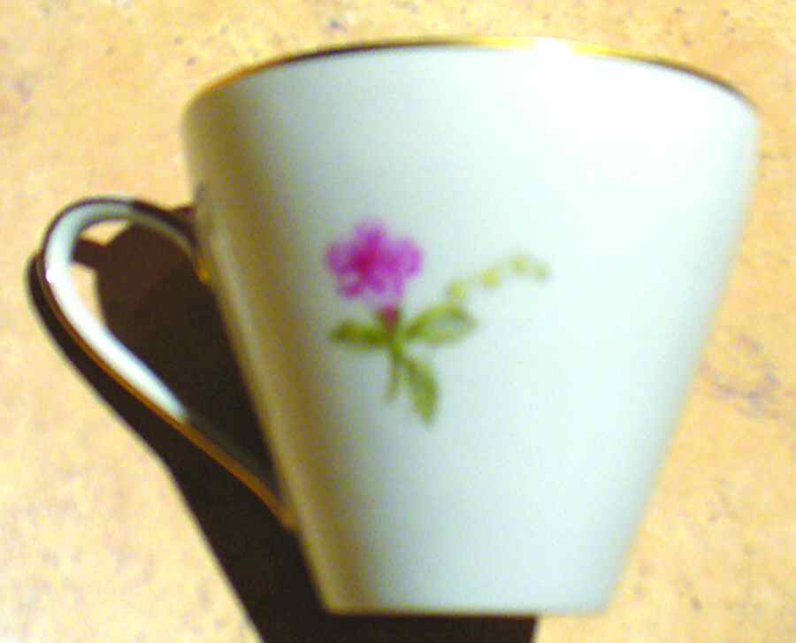 HUT366 Flat Cup by Hutschenreuther-1