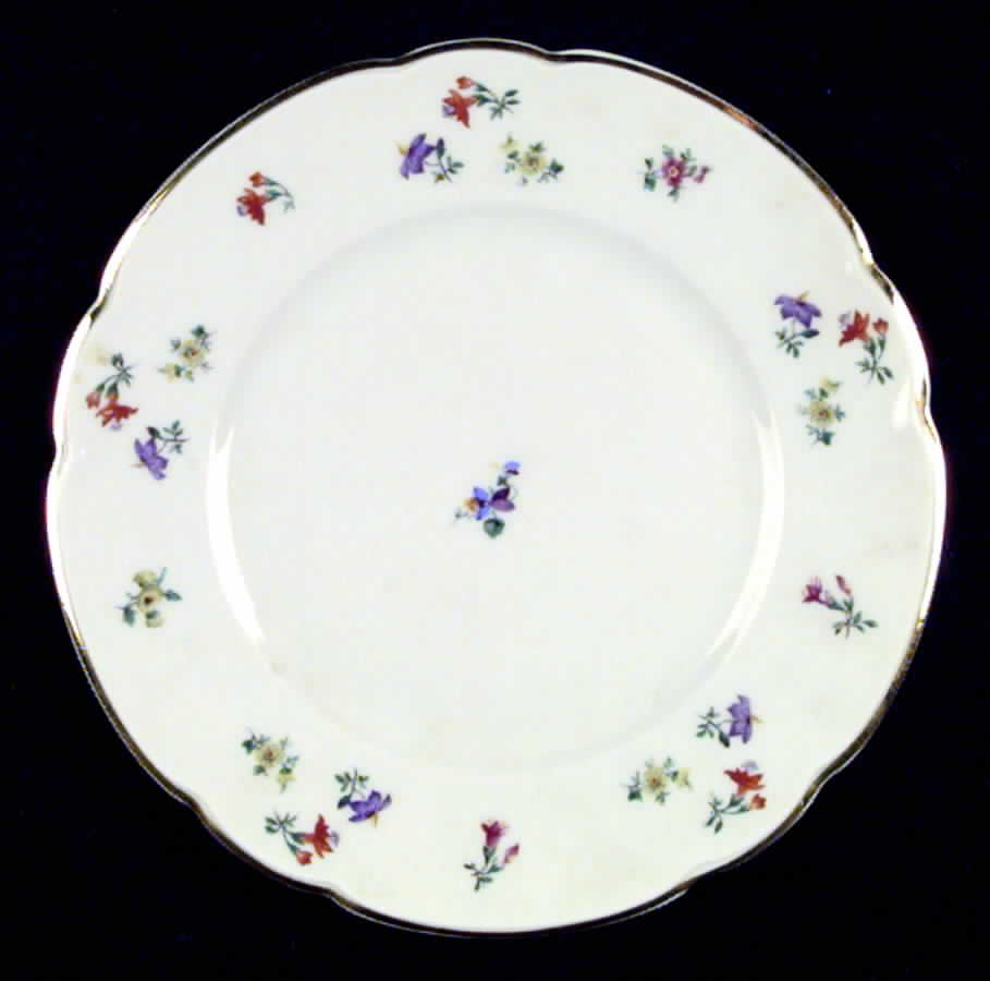 HUT380 Salad Plate by Hutschenreuther-1