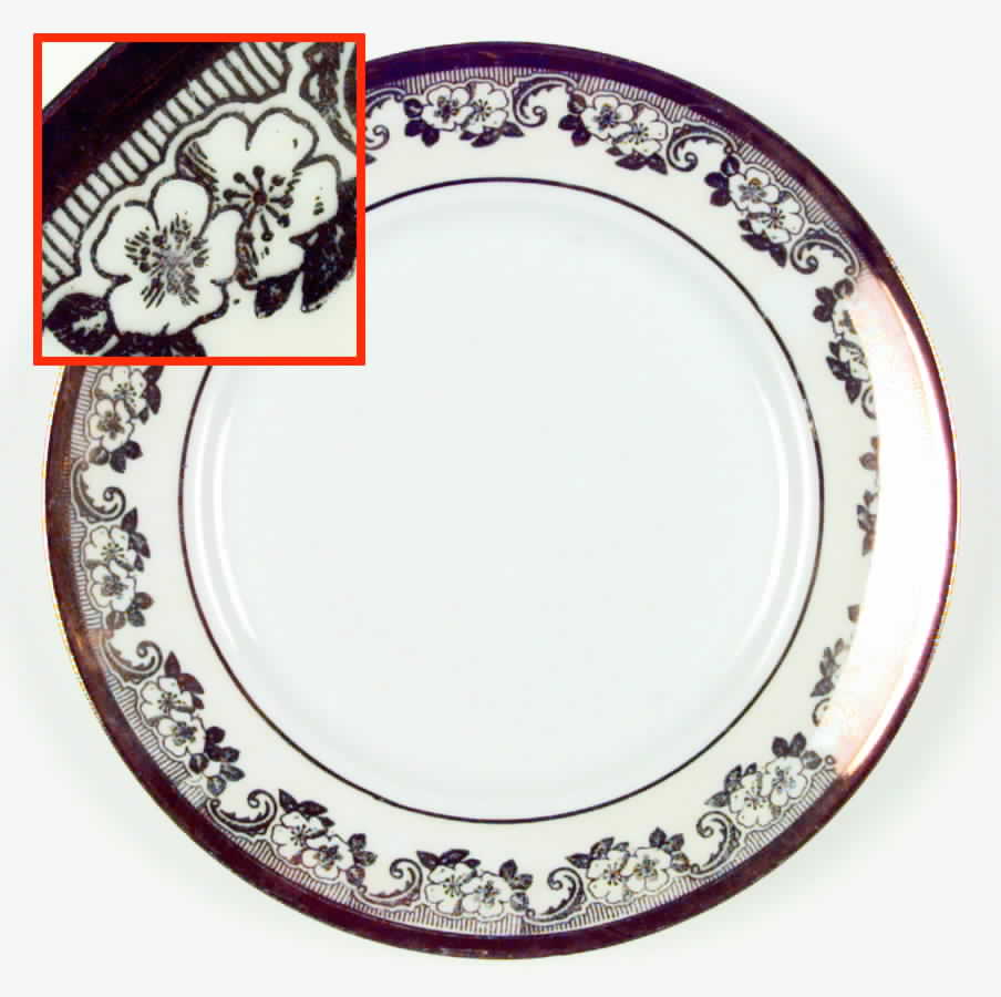 HUT406 Dinner Plate by Hutschenreuther-1