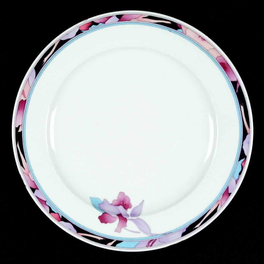 HUT41 Dinner Plate by Hutschenreuther-1