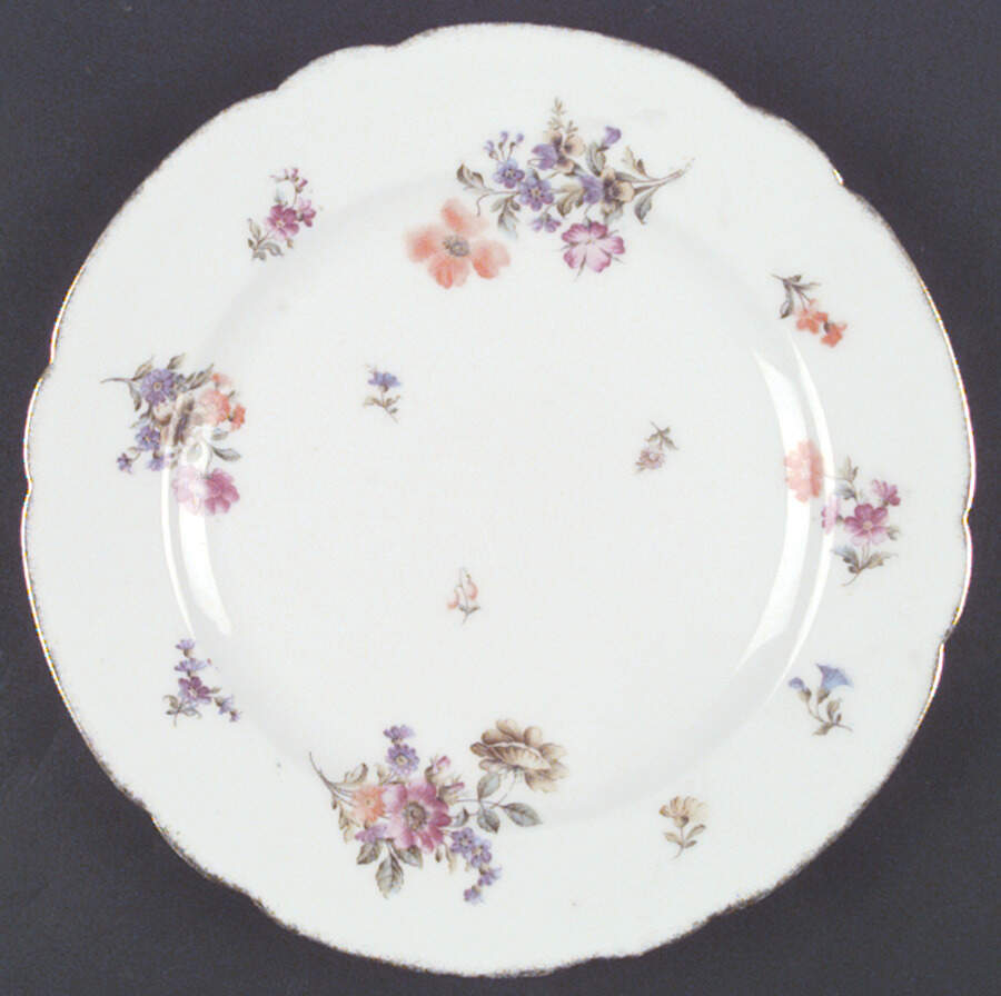 HUT410 Dinner Plate by Hutschenreuther-1