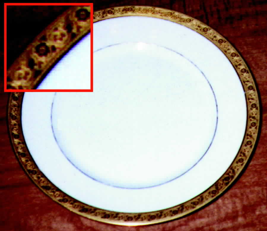 HUT419 Dinner Plate by Hutschenreuther-1