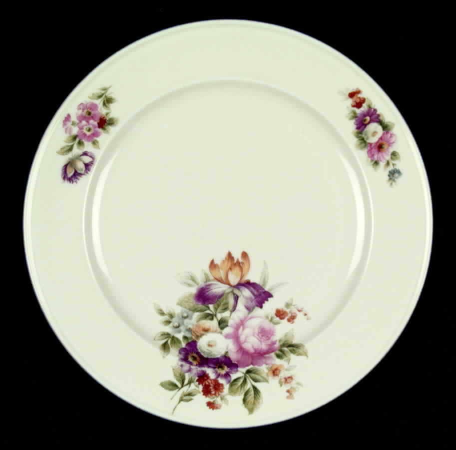 HUT442 Dinner Plate by Hutschenreuther-1