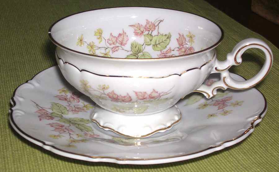 8520 Footed Cup & Saucer Set by Hutschenreuther-1