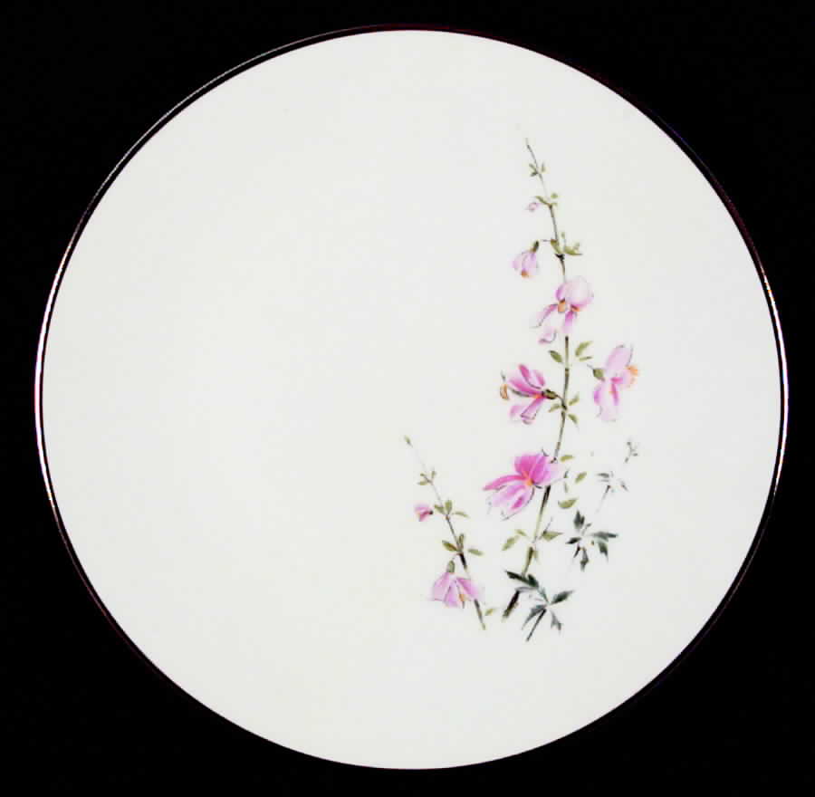 HUT458 Salad Plate by Hutschenreuther-1