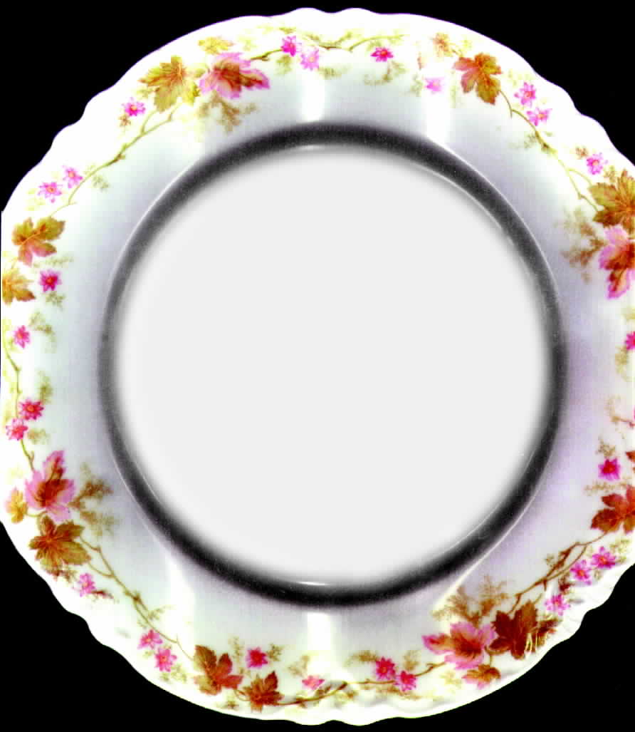 HUT460 Dinner Plate by Hutschenreuther-1