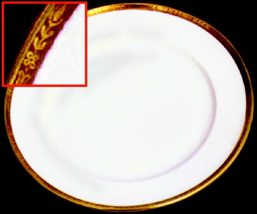 HUT466 Dinner Plate by Hutschenreuther-1