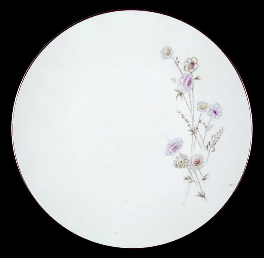 HUT470 Dinner Plate by Hutschenreuther-1