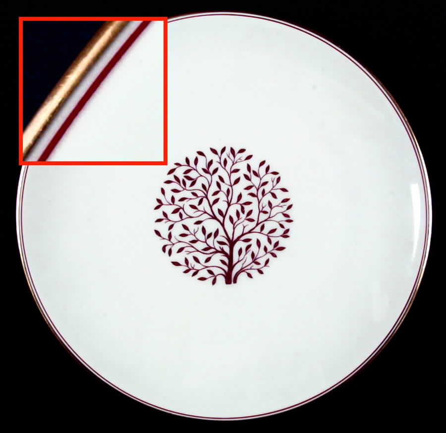 HUT473 Dinner Plate by Hutschenreuther-1