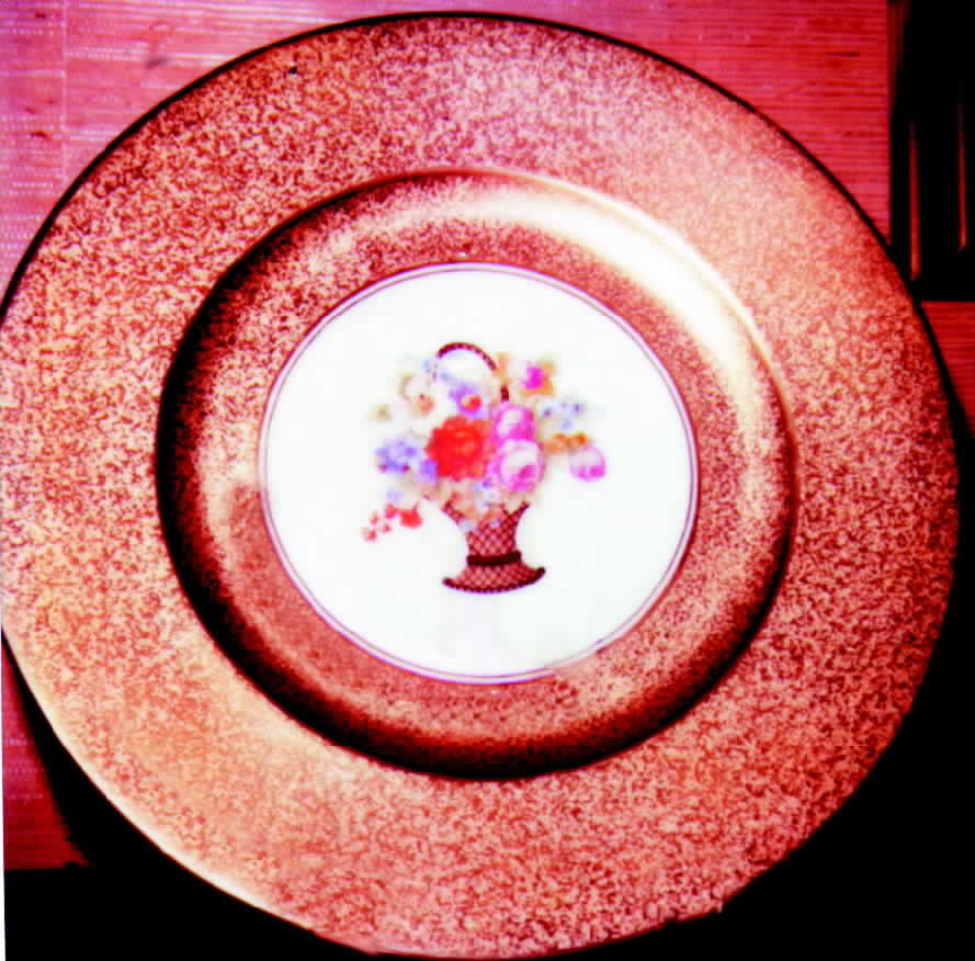 HUT475 Dinner Plate by Hutschenreuther-1