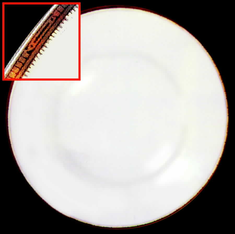 HUT477 Dinner Plate by Hutschenreuther-1