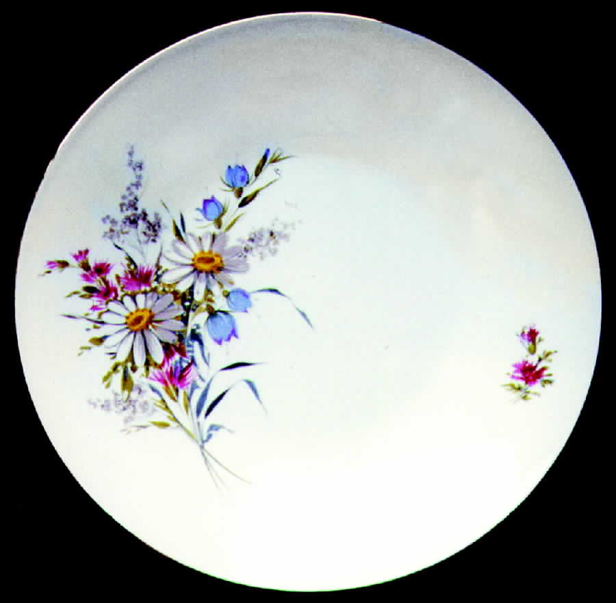 HUT480 Dinner Plate by Hutschenreuther-1