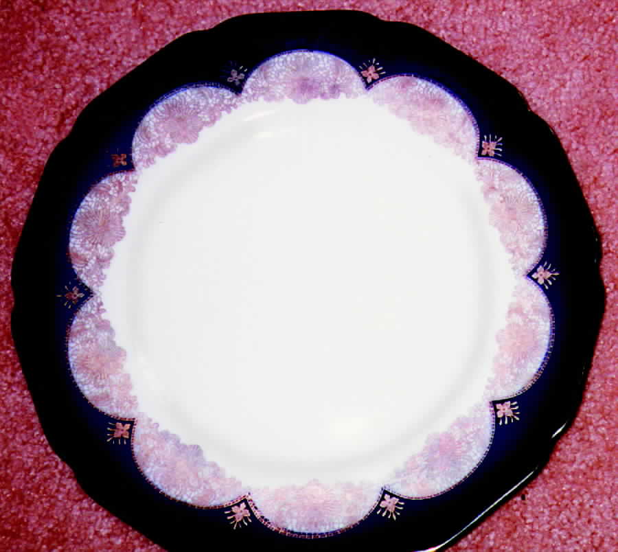 HUT482 Dinner Plate by Hutschenreuther-1