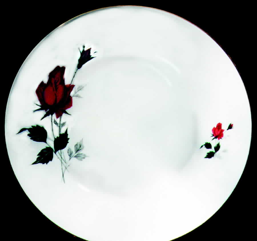 HUT483 Dinner Plate by Hutschenreuther-1