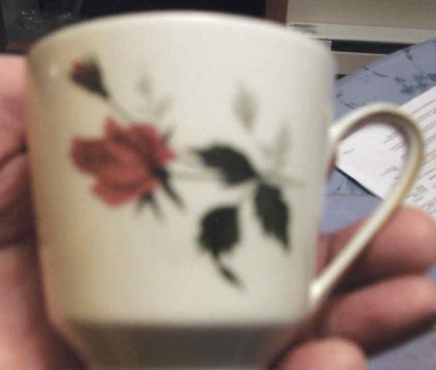 HUT483 Flat Cup by Hutschenreuther-1