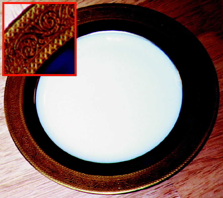 HUT484 Dinner Plate by Hutschenreuther-1