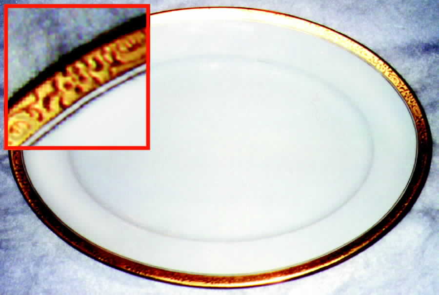 HUT490 Dinner Plate by Hutschenreuther-1