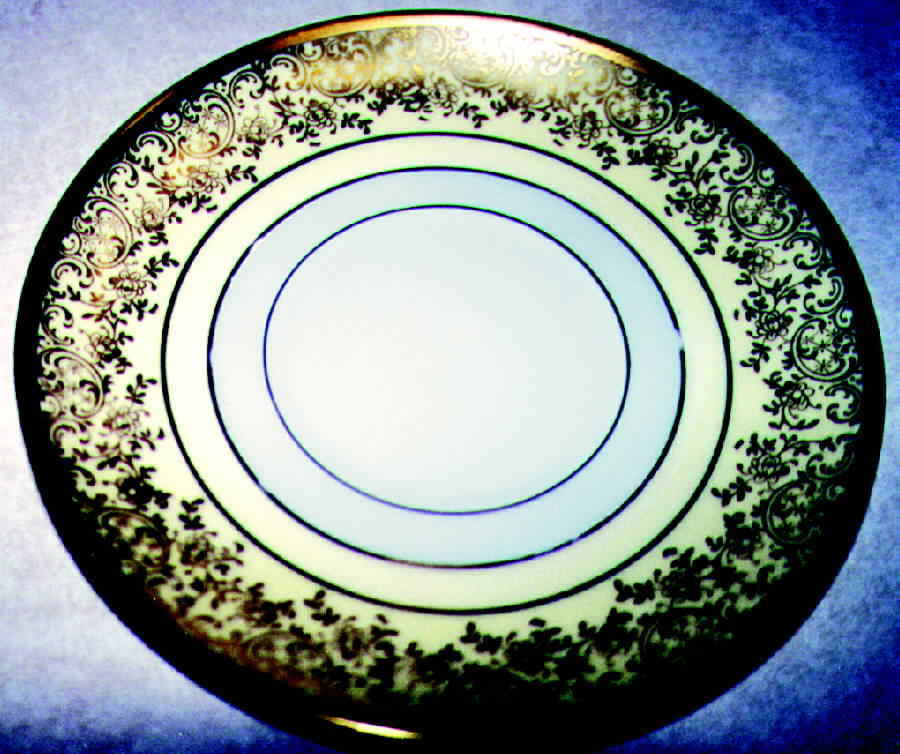 HUT496 Dinner Plate by Hutschenreuther-1