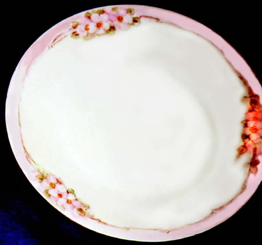 HUT498 Dinner Plate by Hutschenreuther-1