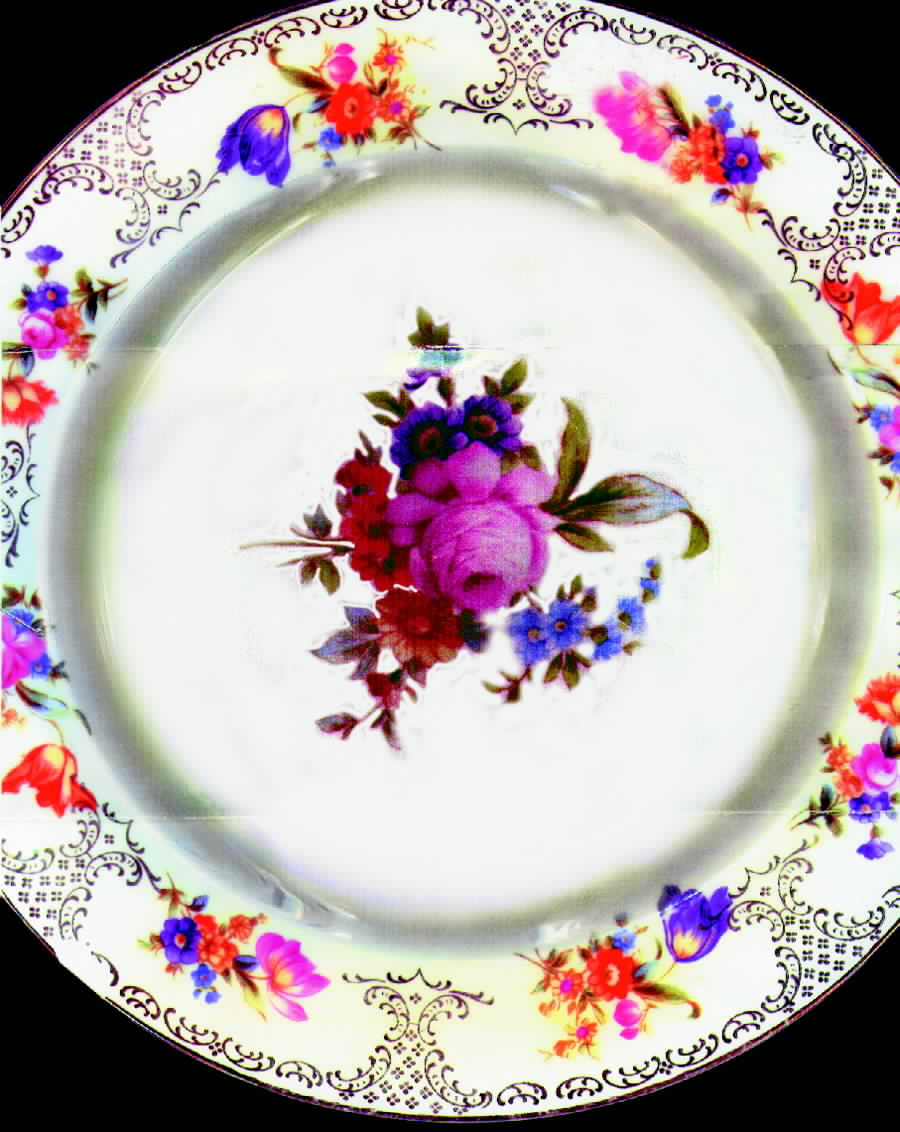 HUT502 Dinner Plate by Hutschenreuther-1