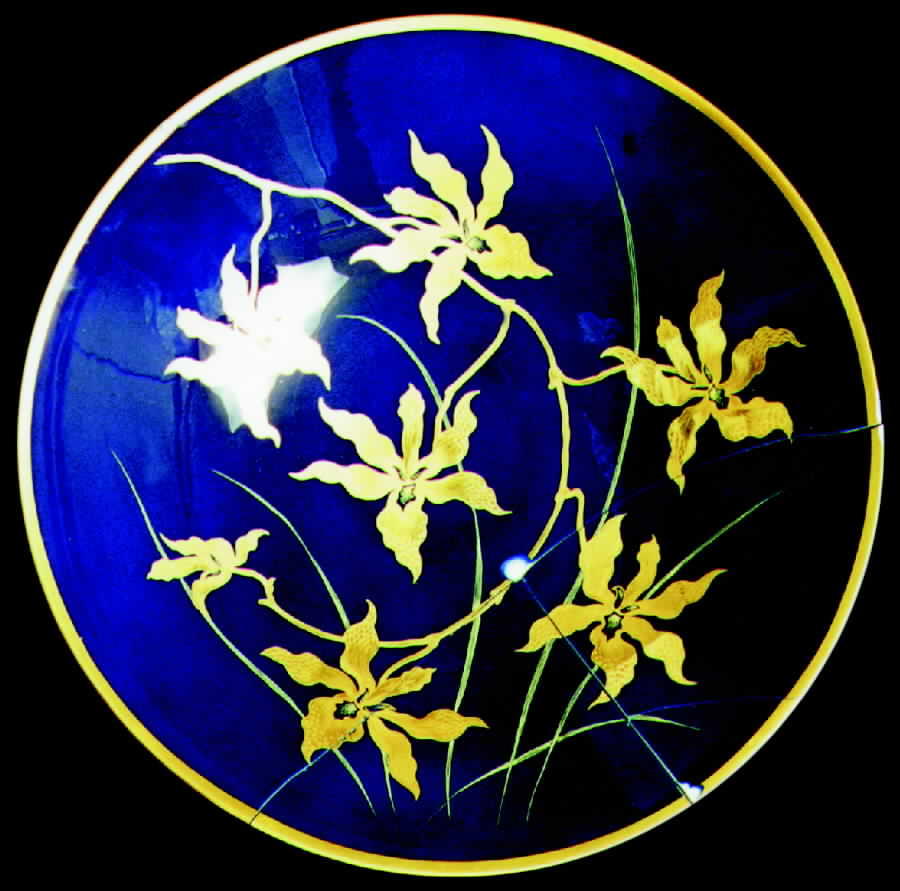 HUT503 Dinner Plate by Hutschenreuther-1