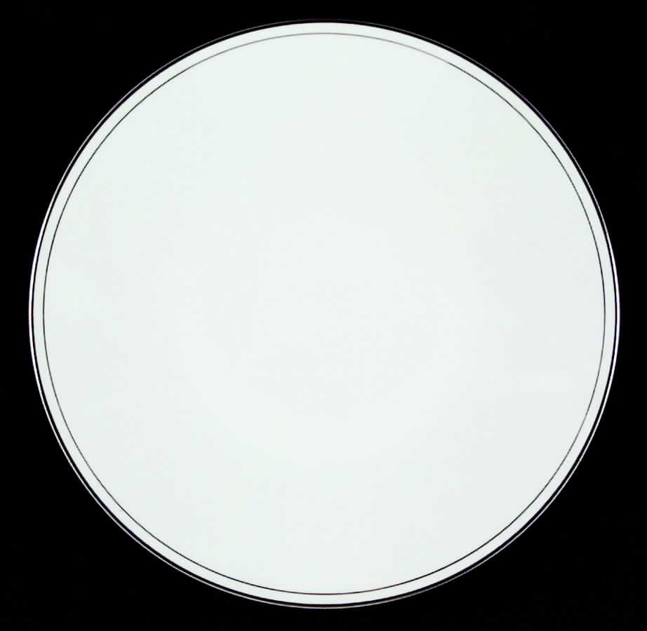 HUT51 Dinner Plate by Hutschenreuther-1