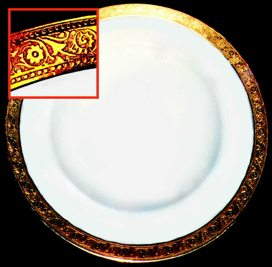 HUT516 Dinner Plate by Hutschenreuther-1