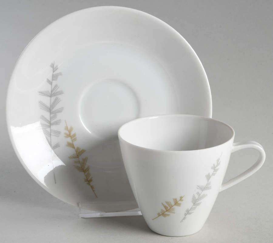 8895 (No Trim) Flat Cup & Saucer Set by Hutschenreuther-1