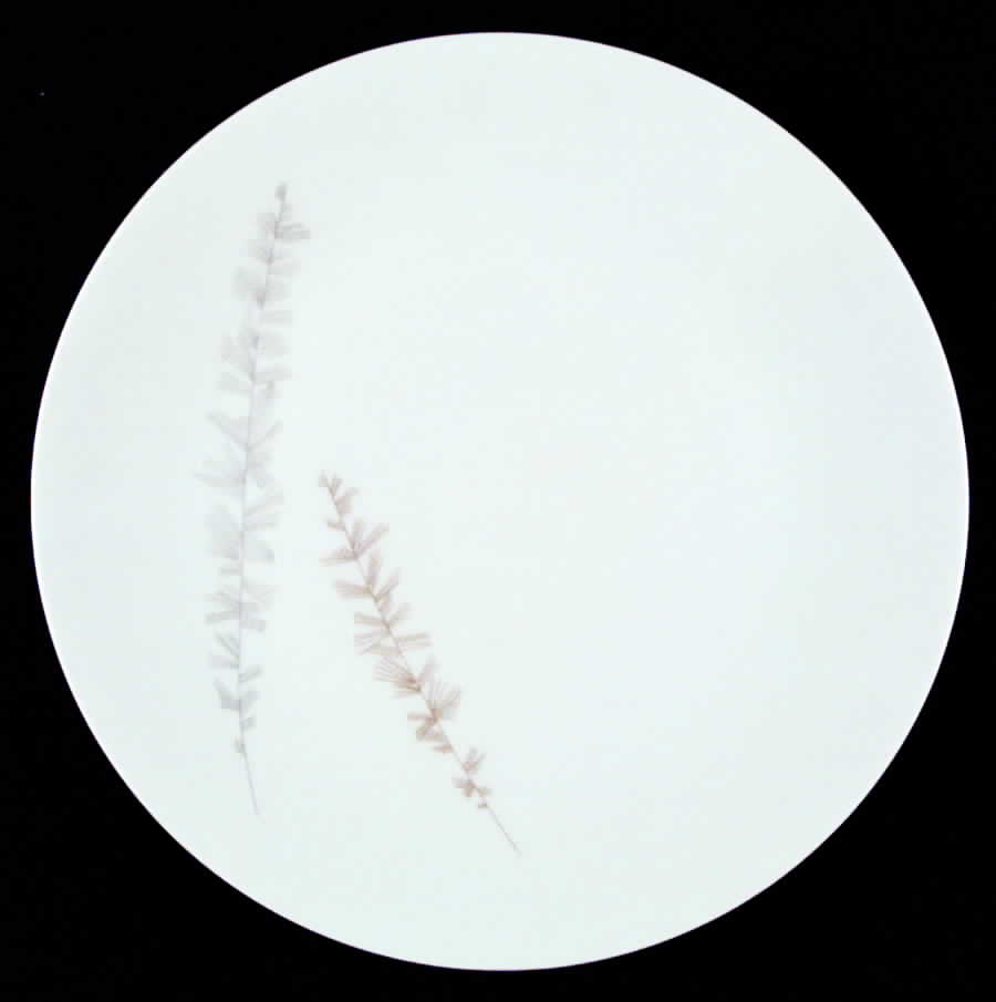 8895 (No Trim) Dinner Plate by Hutschenreuther-1